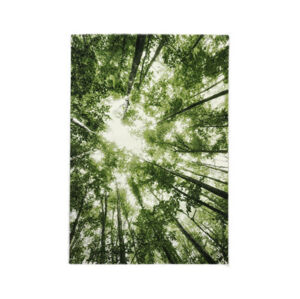Koberec Belis 160x230 cm, zelený les