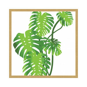 Rámovaný obraz Zelené listy, 40x40 cm
