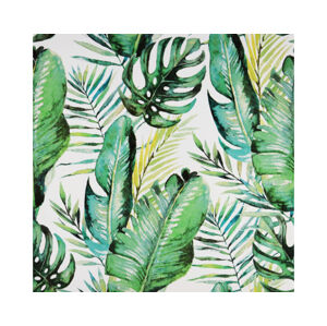 Obraz na plátně Tropické listy, 40x40 cm