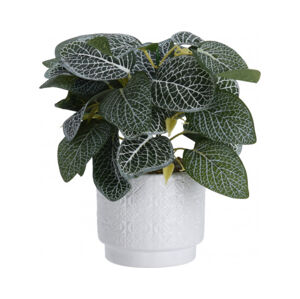 Umělá rostlina v květináči 28 cm, bílo-zelené listy