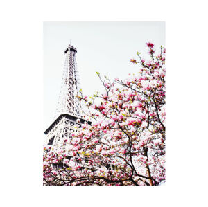 Obraz na plátně Jaro v Paříži, 50x70 cm