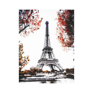 Obraz na plátně Podzim v Paříži, 60x80 cm